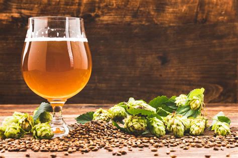 Understanding Different Types Of Hops And How They Impact The Taste Of