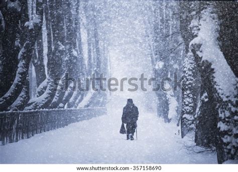 44366 Old Man Snow Images Stock Photos And Vectors Shutterstock