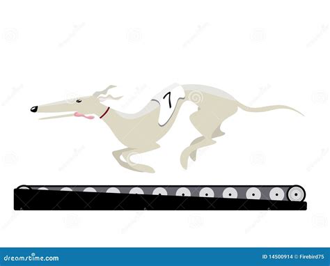 Greyhound training stock vector. Illustration of running - 14500914