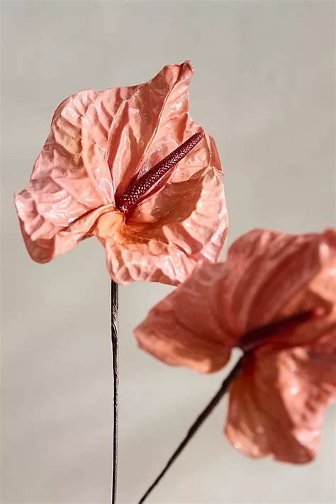 Preserved Anthurium Stem Terrain