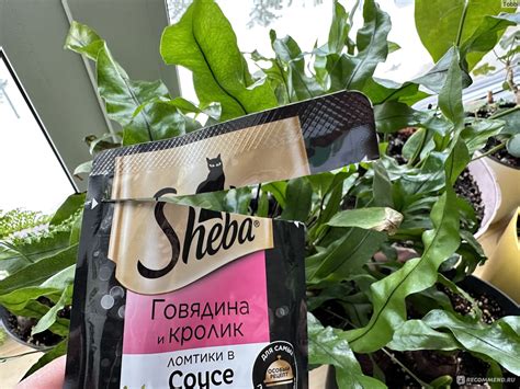 Корм для кошек Sheba Pleasure Ломтики в соусе "Говядина и кролик ...