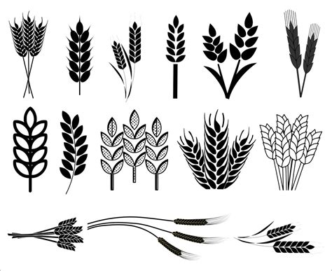 Buy Wheat Svg Wheat Svg Bundle Wheat Clipart Wheat Silhouette Online In