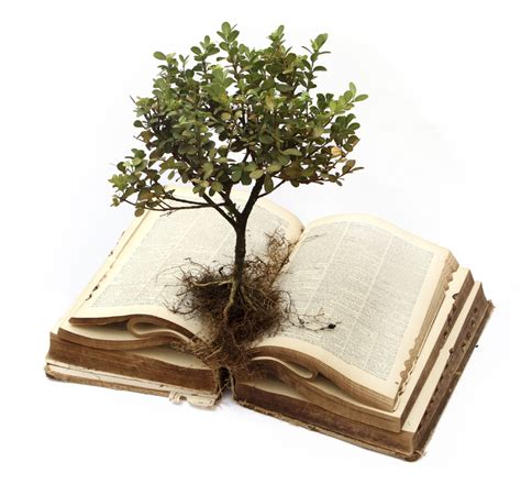 What books do you feel are "Must have" books for any landscape ...