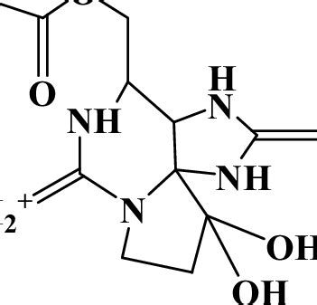 Molecular structure of saxitoxin. | Download Scientific Diagram