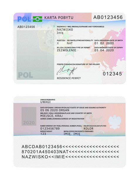 Polonya Hangi Dil 3