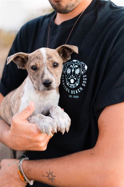 cerritos mall movies