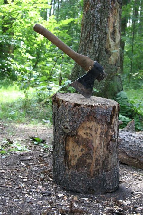 Axe Chop Firewood Stock Photo Image Of Wood Billet Cutter 410540