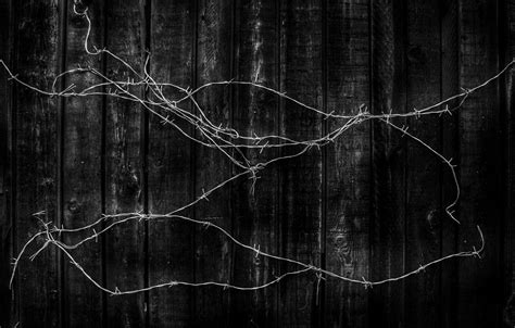 Barbed Wire Wallpapers Top Free Barbed Wire Backgrounds Wallpaperaccess