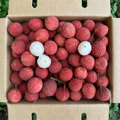 Lychee - Emperor Variety *Pre-Order* – Miami Fruit