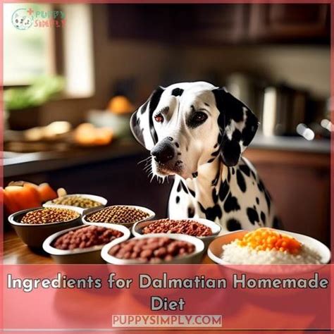 Expert Guide To Dalmatian Homemade Dog Food Ingredients Cooking And Feeding