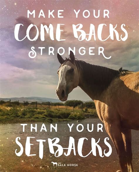Best 25 Horse Quotes Ideas On Pinterest Horse Riding Quotes Horse