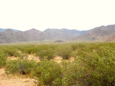 1002 Acres In Mohave County Arizona