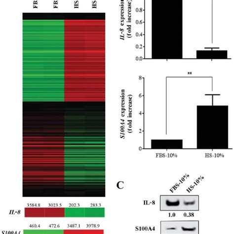 Differential Gene Expression Between Mda Mb Breast Cancer Cells