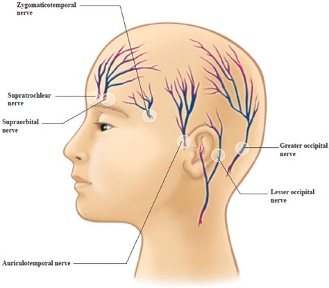 Zygomaticotemporal Nerve Block