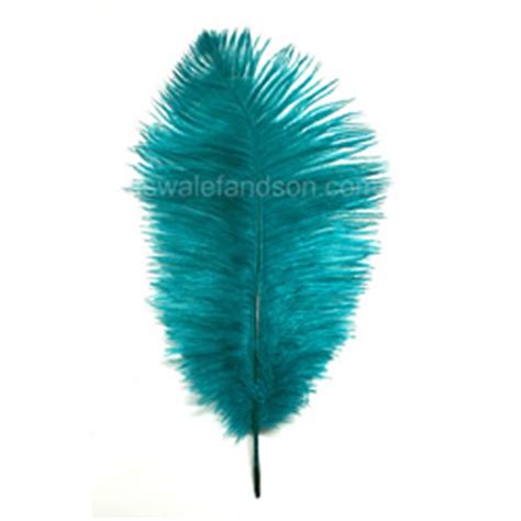 Wholesale Ostrich Feathers | Wholesale Feathers | W.W. Swalef & Son