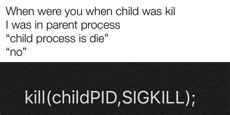 child process  kil rprogrammerhumor