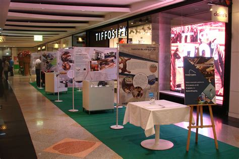Museu da Baleia da Madeira - A História da Caça à Baleia e a