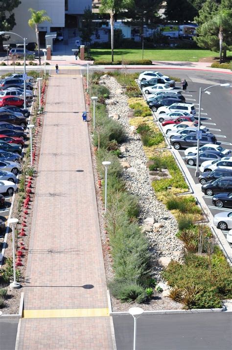 Another Angle Of The Bioswale Parking Lot Created By Lynn Capouya