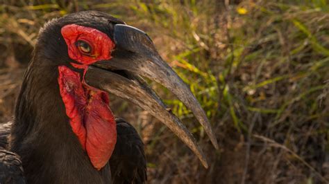 veeto photos, images, assets | Adobe Stock