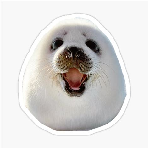 Happy Seal Sticker For Sale By Charlo Redbubble