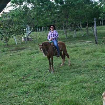 erco  erco twitter