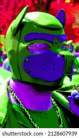 Categoría Gay cub de fotos e ilustraciones de stock 72 imágenes Shutterstock