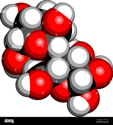 Lactase Molecule
