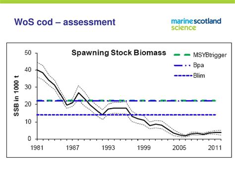 PPT - The Cod Day - Science PowerPoint Presentation, free download - ID ...