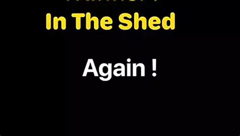 The Shed Conclusion Gay Porn XHamster