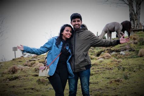 Alpaca Trekking The Naked Sheep Ireland