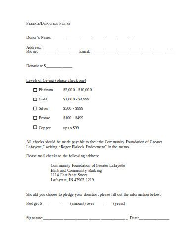 10 Charity Pledge Form Templates In Pdf Doc Free And Premium Templates