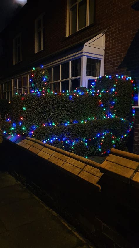 Neighbour Decorated Their Train Shaped Hedge With Christmas Lights R