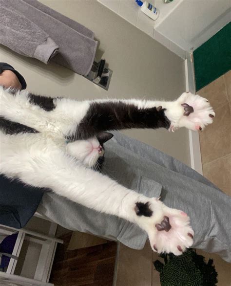 As Spread As Can Be R Spreadytoes