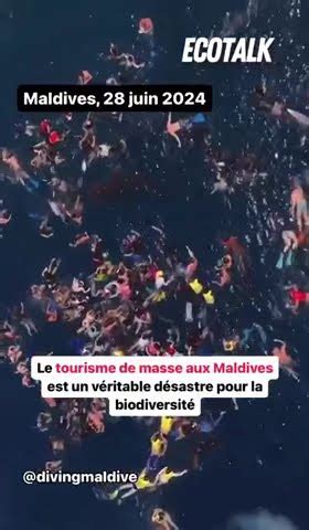 Des touristes amassés autour du plus grand poisson du monde