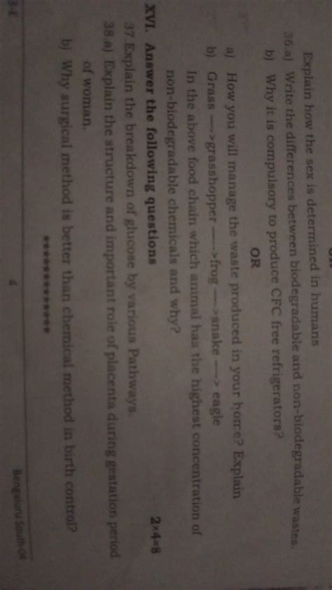 Explain How The Sex Is Determined In Humans 36 A Write The Differences B
