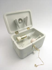 Because A Dildo With Your Bae S Ashes Is Now A Thing Awesomely Luvvie