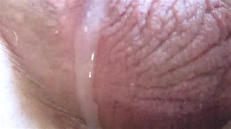 Meister T Sissi Eier Besamung Gay Man Porn Xhamster