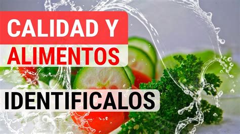 Calidad De Los Alimentos Criterios Procesos Y Organizaciones Youtube