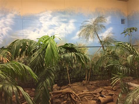 Murals — Zoo Enrichment Lab