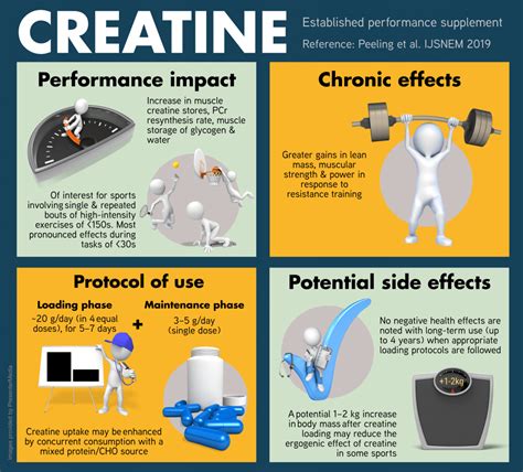 Creatine Side Effects