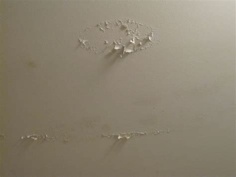 Ceiling Repair: Ceiling Repair Paint Peeling