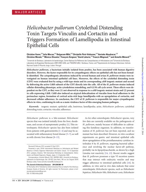 Pdf Helicobacter Pullorum Cytolethal Distending Toxin Targets