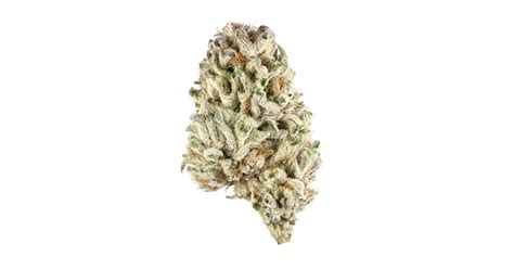 Chronic Weed Strain Information Leafly