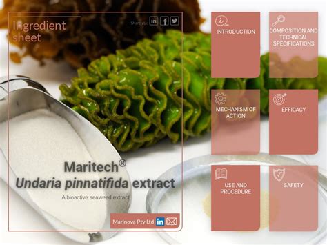 Marinova Pty Ltd Maritech® Undaria Pinnatifida Extract Ingredient