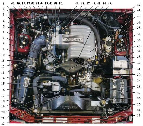 Visualize The Components Of A Ford Mustang Body Parts Diagram