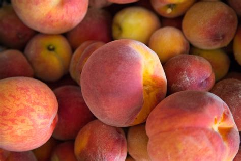 Peach Free Stock Photo - Public Domain Pictures