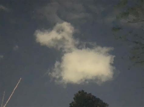 I Feel We Need A Dog Shaped Cloud To Cheer This Thread Up Today R