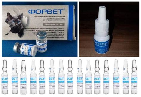 Уколы от блох: особенности инъекций для кошек, обзор современных ...