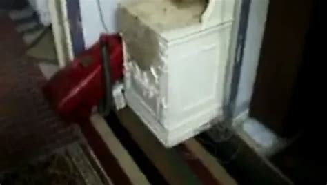 Sharmota Moza Free Homemade Porn Video 1a XHamster