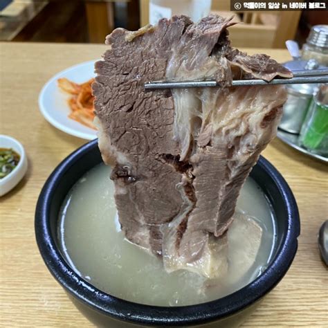 을지로 맛집 50년 전통 설렁탕 맛집 이남장 을지로 본점 성시경 먹을텐데 설렁탕 맛집 을지로 이남장 주차 정보